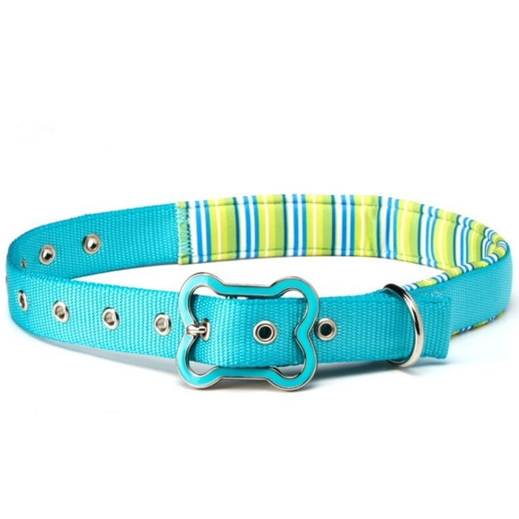 Vibrant Life Comfort Padded Dog Collar Teal Stripe New With Tag Size Large - Picture 1 of 14
